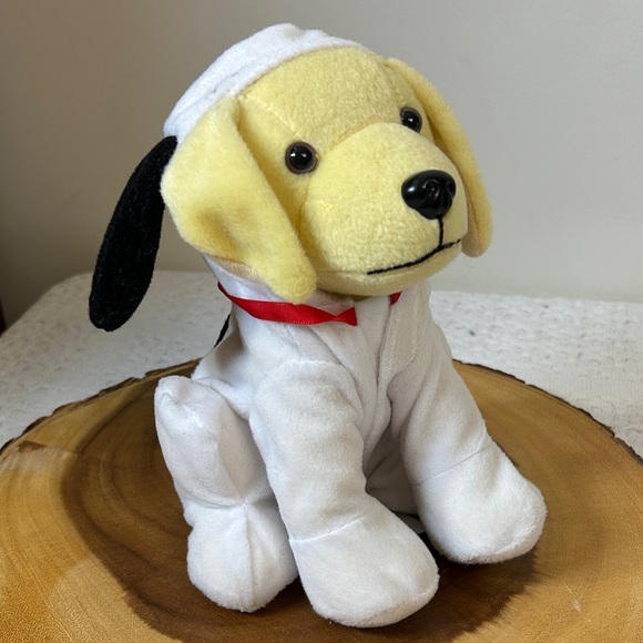 Raising Cane's Peanuts Snoopy Woodstock Costume Plush from 2021 - Picture 1 of 5